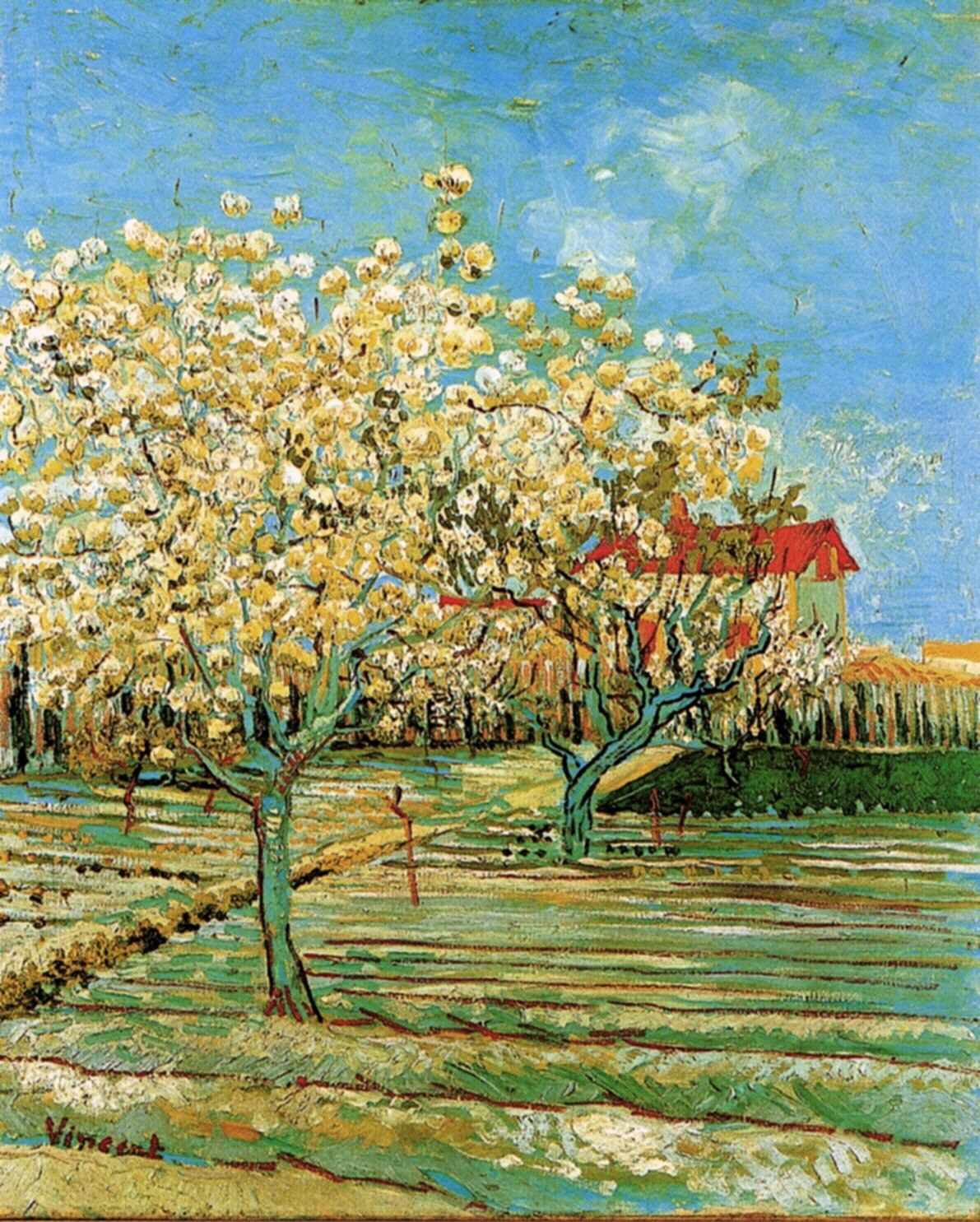 Orchard in Blossom 3