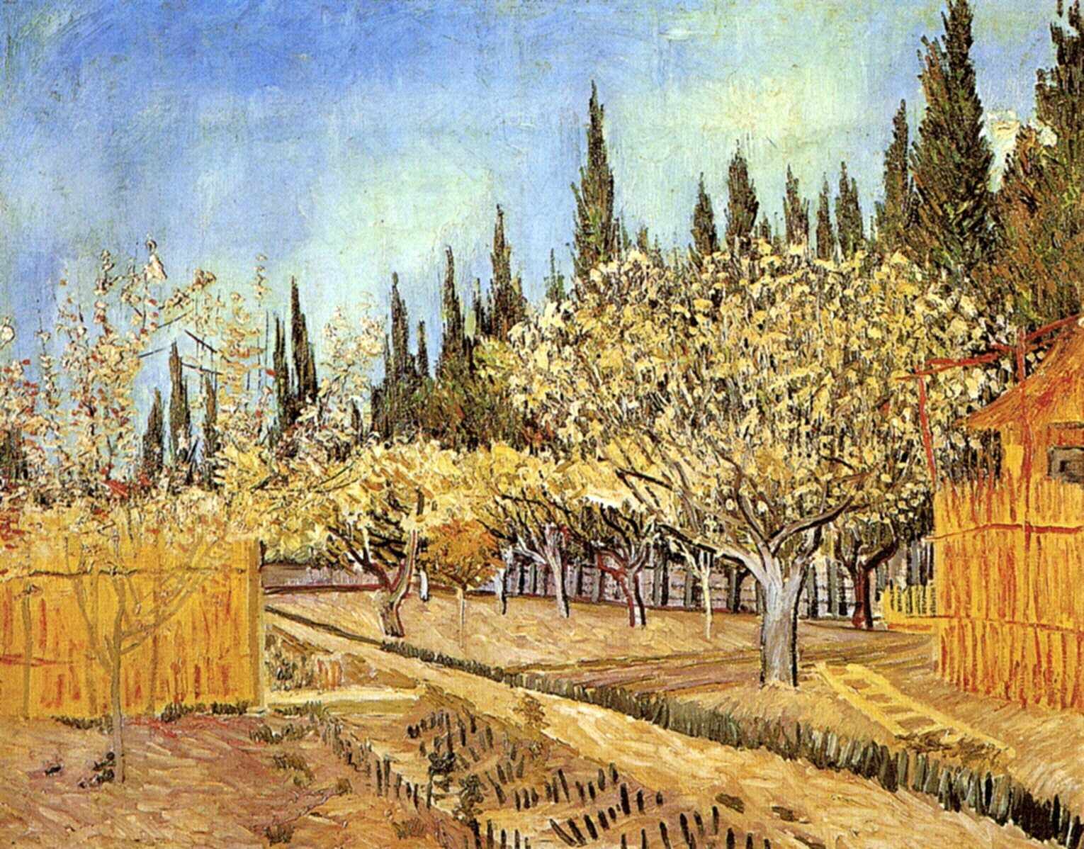 Orchard in Blossom, Bordered by Cypresses 2
