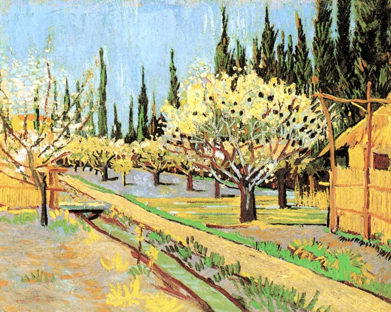 Orchard in Blossom, Bordered by Cypresses