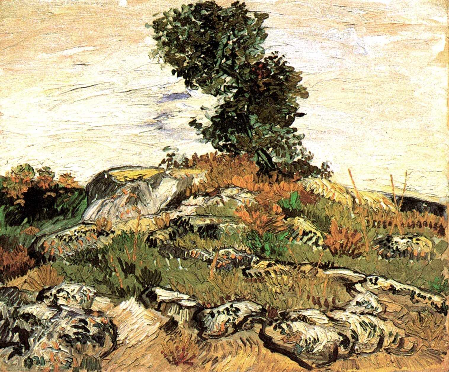 Rocks with Oak Tree