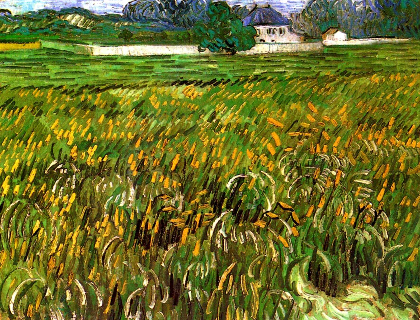 Wheat Field at Auvers with White House