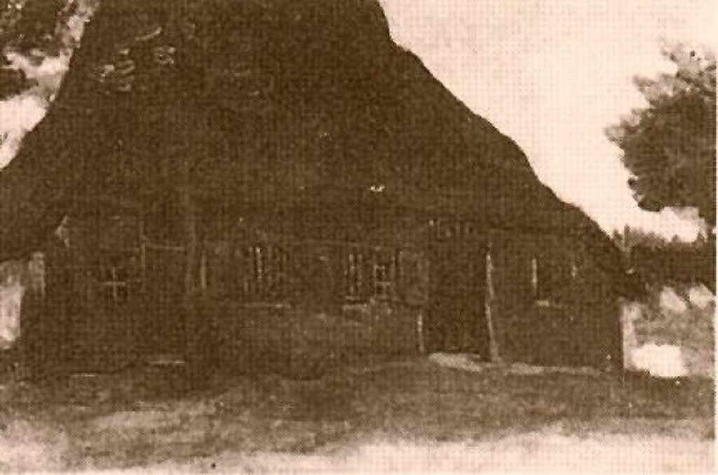 Cottage with Trees 2