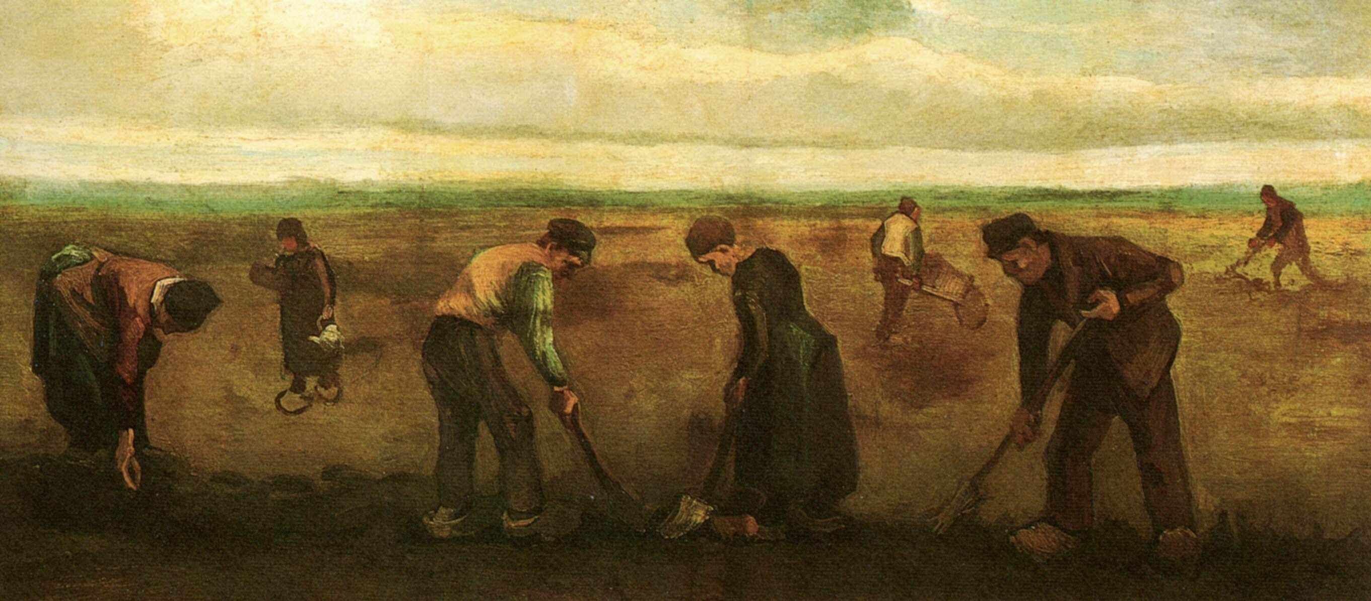Farmers Planting Potatoes