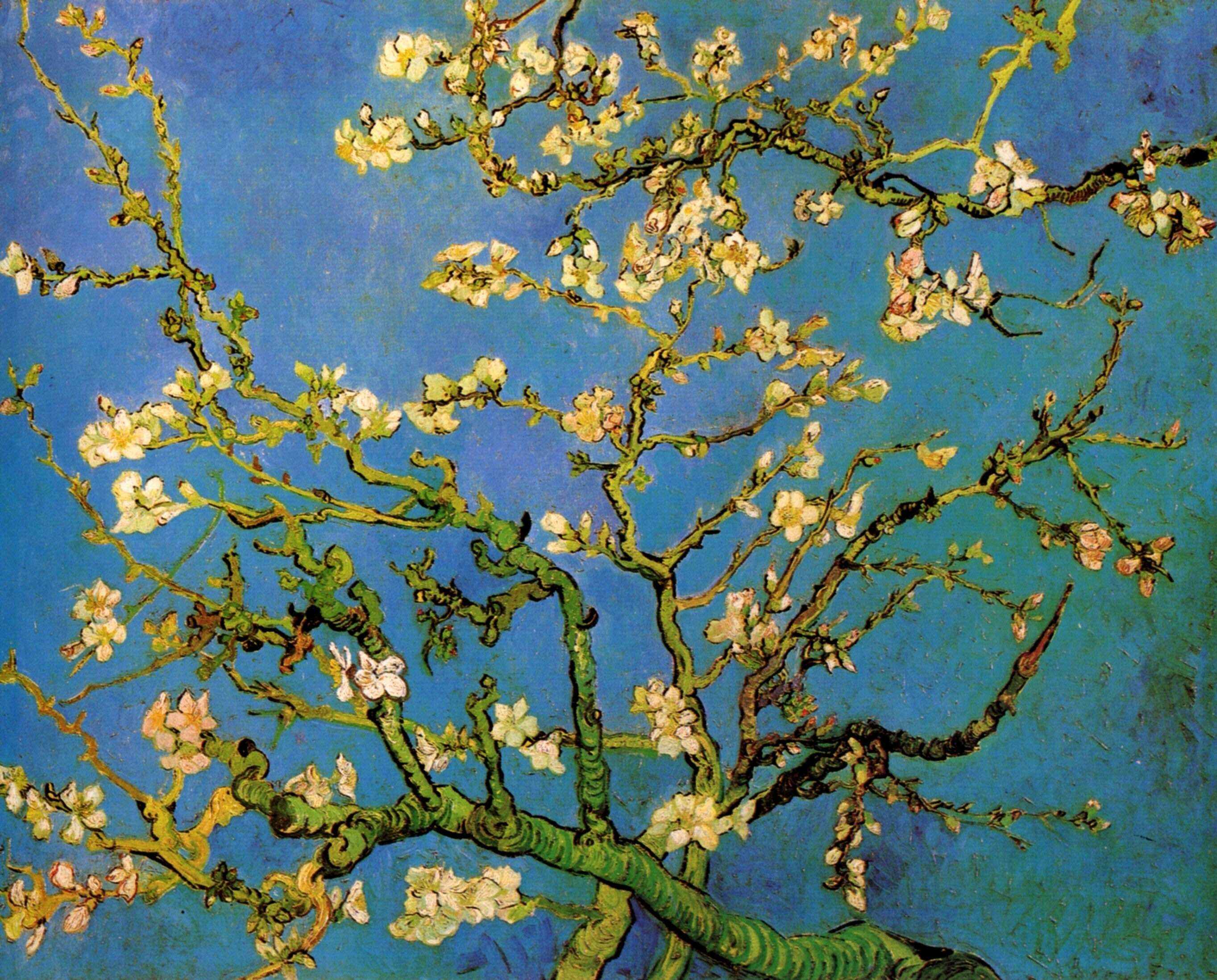 Blossoming Almond Tree