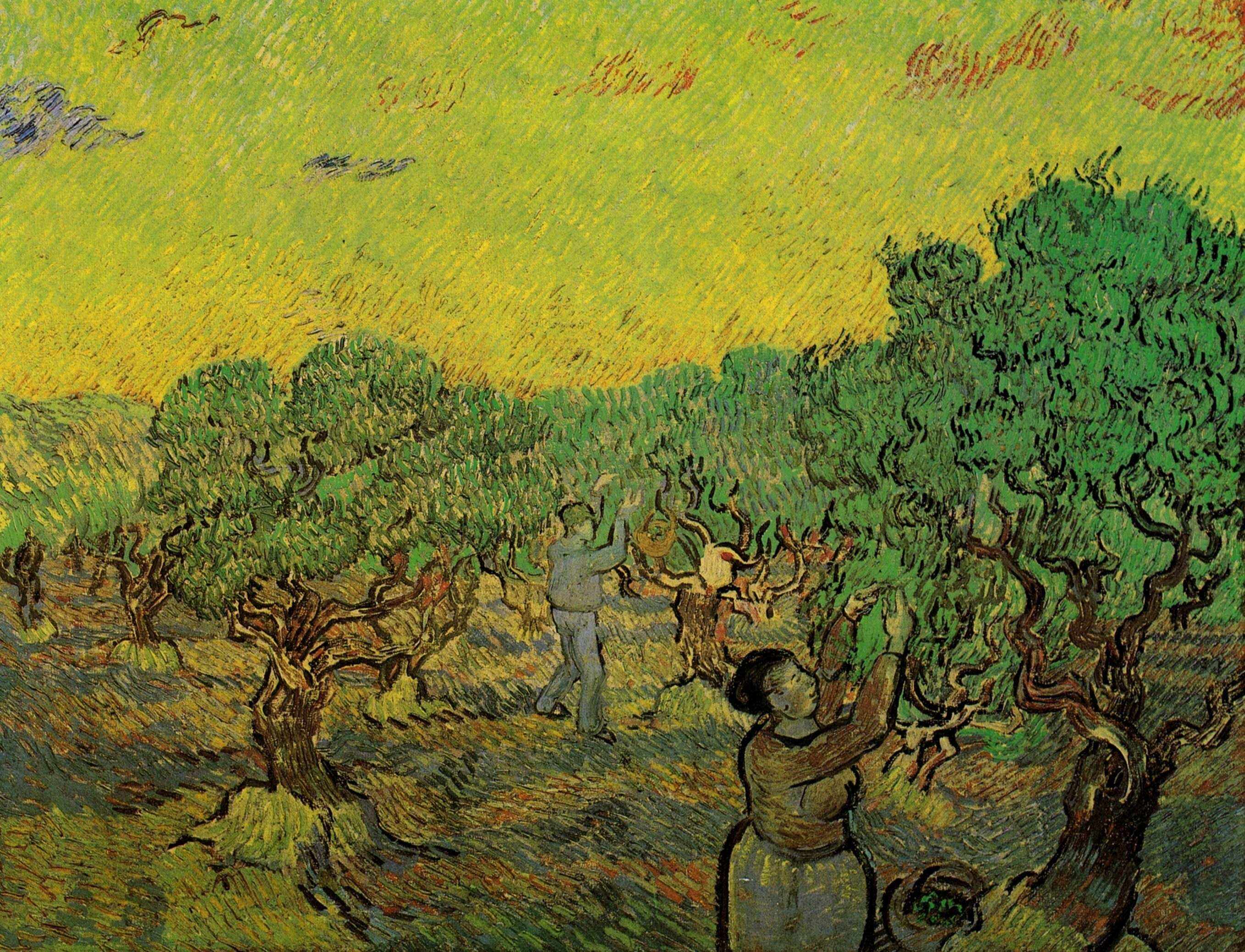Olive Grove with Picking Figures