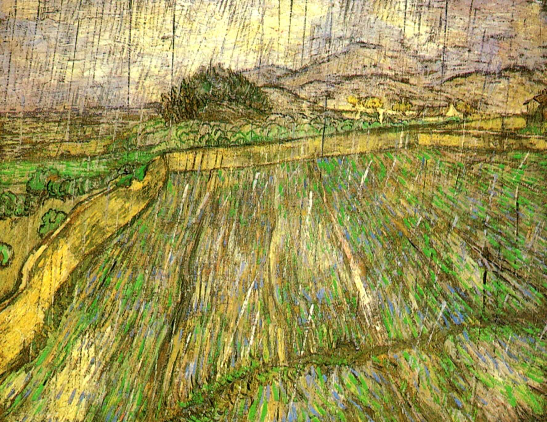 Wheat Field in Rain